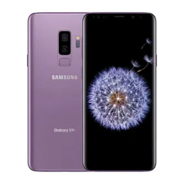Samsung S9 Plus Reparatur